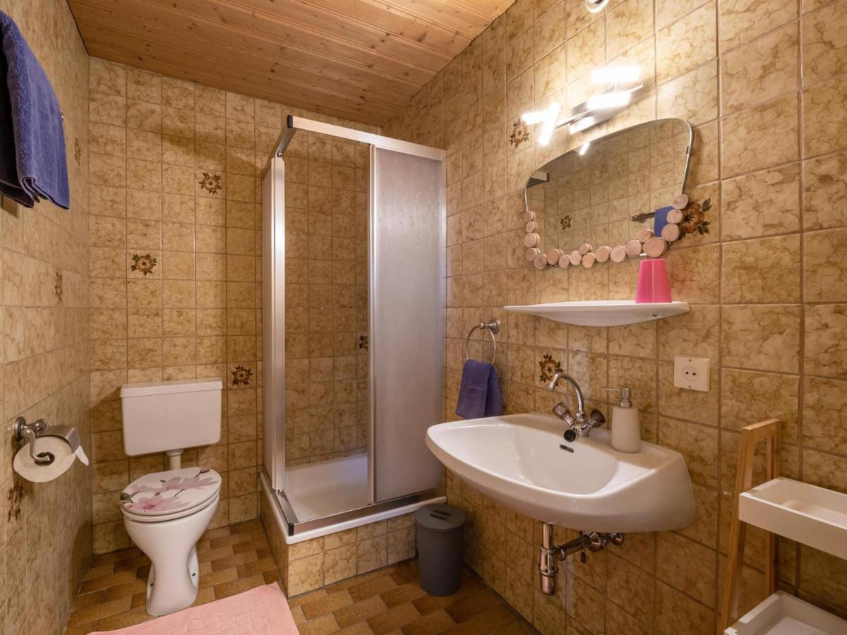 Appartement Alpenloewe Kirchberg in Tirol Kültér fotó